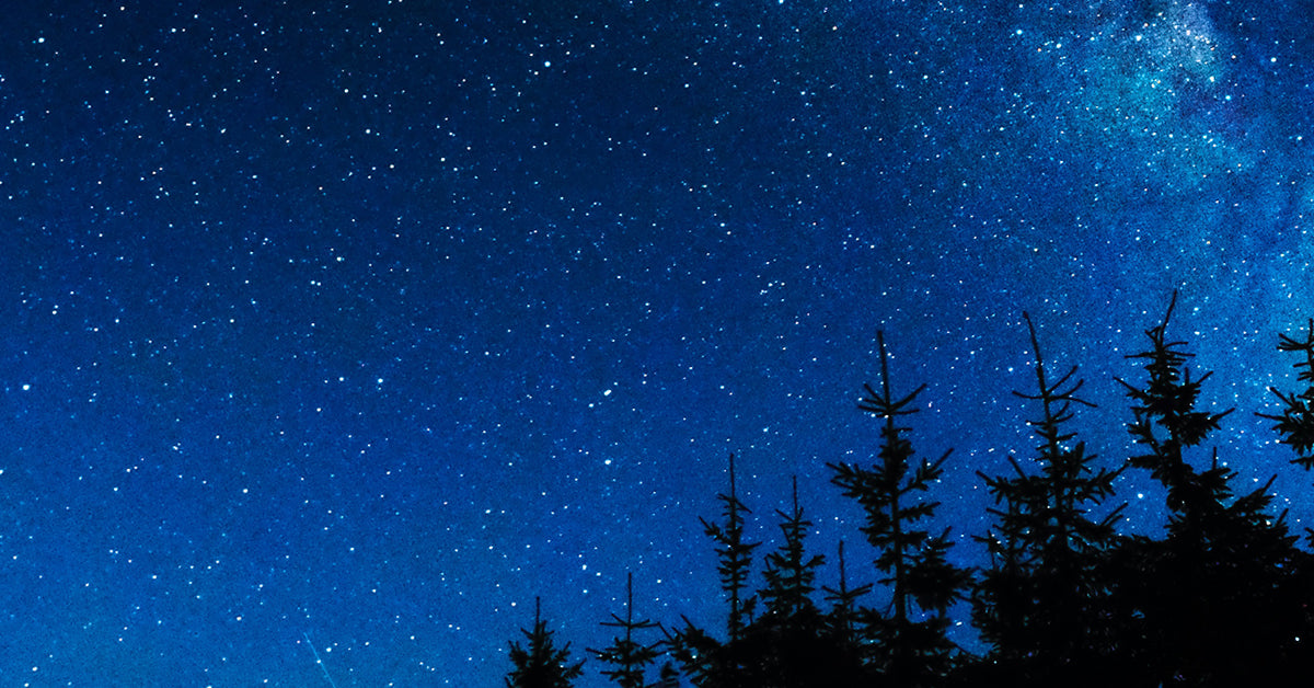 Astrological Highlights: February 2021