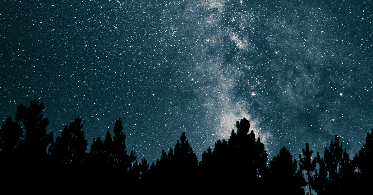 Vedic astrology forecast November 2024