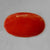 Red Coral 7 - 10 ct