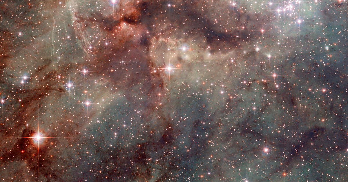 Transformation and Liberation: The Power of Rahu and Ketu in 2019