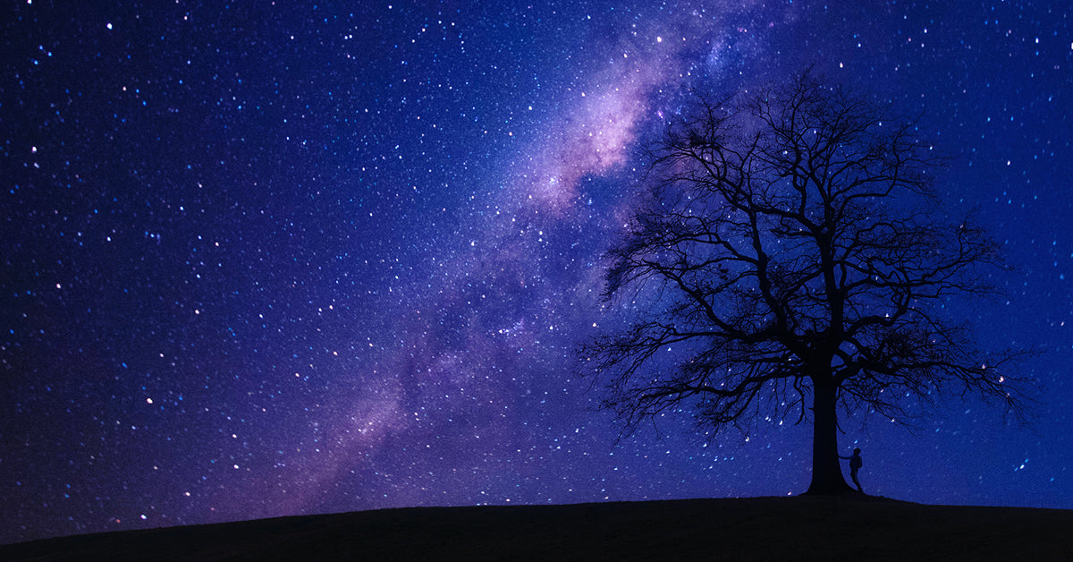 Vedic astrology forecast July 2020 from Lina Elisabeth Preston