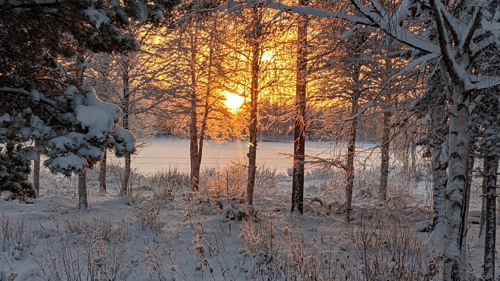 The Winter Solstice - Photograph by Lina Preston