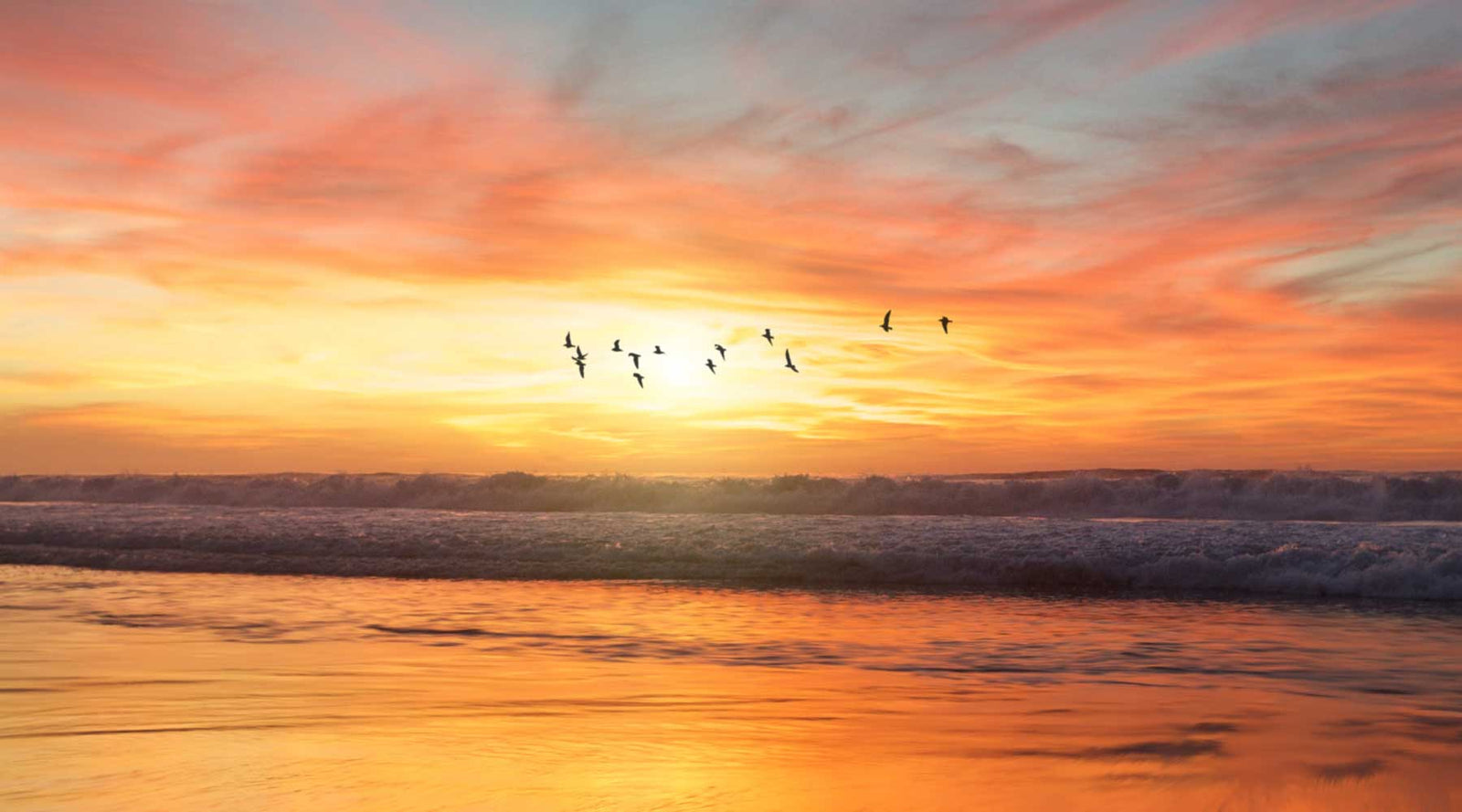 Canticle Of The Creatures