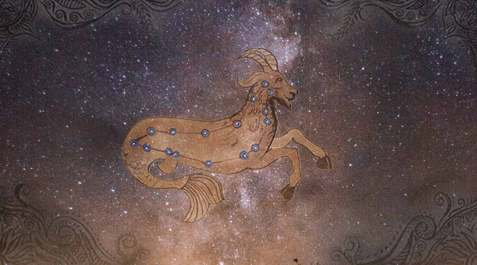 Capricorn meaning in Vedic Astrology