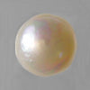 Freshwater Pearl 7 - 8 ct
