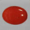 Red Coral 3 - 4 ct