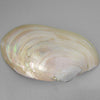 Mother of Pearl Buddha Carved on Pink Mollusk Shell